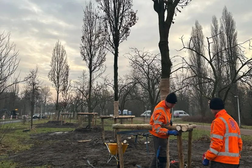 Screenshot_20260211_131833