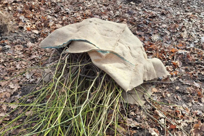 Screenshot_20260216_140735