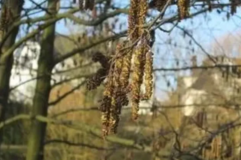 Screenshot_20260301_135810