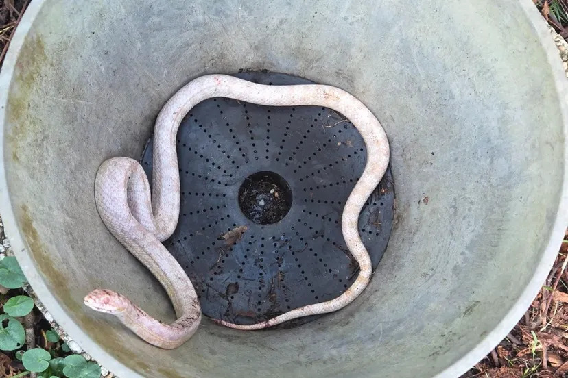 Screenshot_20260302_120915