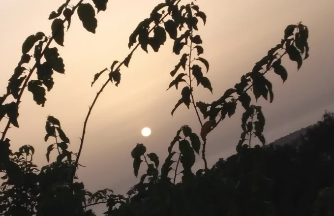 Screenshot_20260303_114033