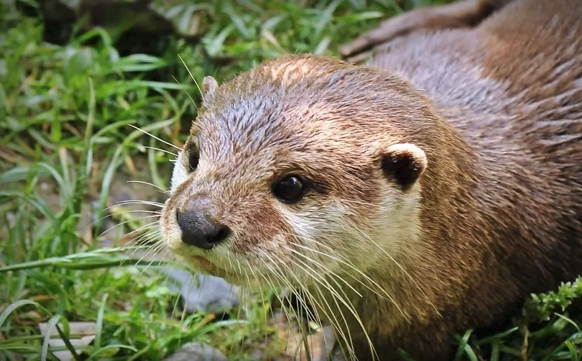 Screenshot_20260309_101920