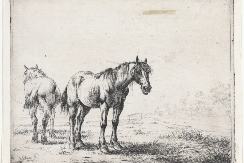 Twee_paarden_in_een_landschap_Paarden_(serietitel),_RP-P-OB-60.581