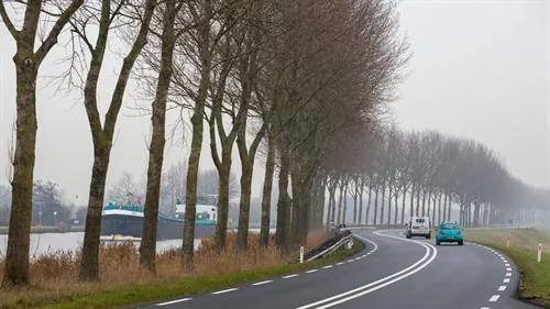 Bomen langs Nweg_928_550