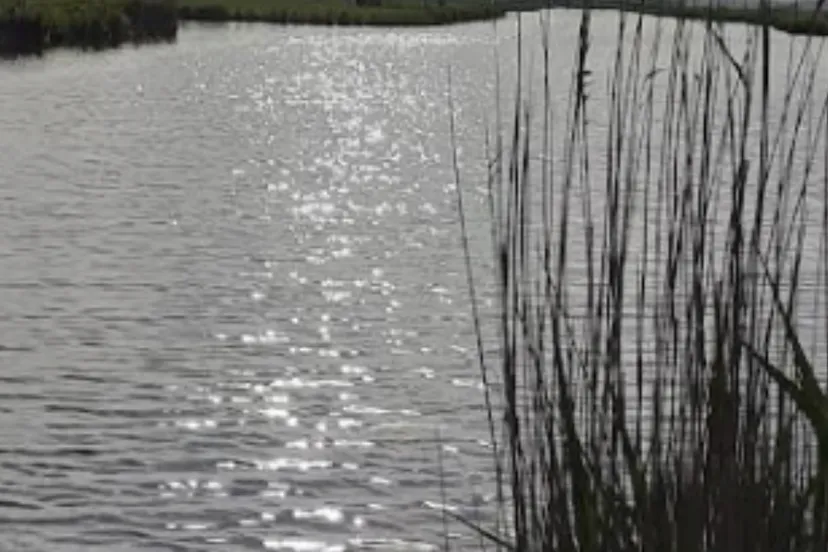 Screenshot_20260402_114504