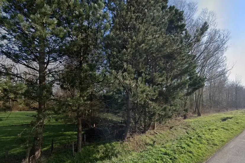 screenshot-20241016-105138-670f7e1cc2bbc (1)