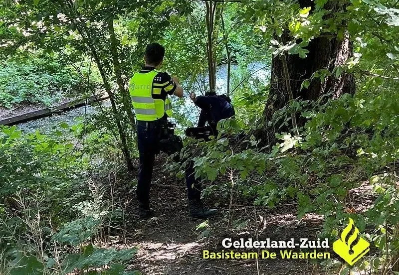 292377549 407756828052804 2527413453186031911 n