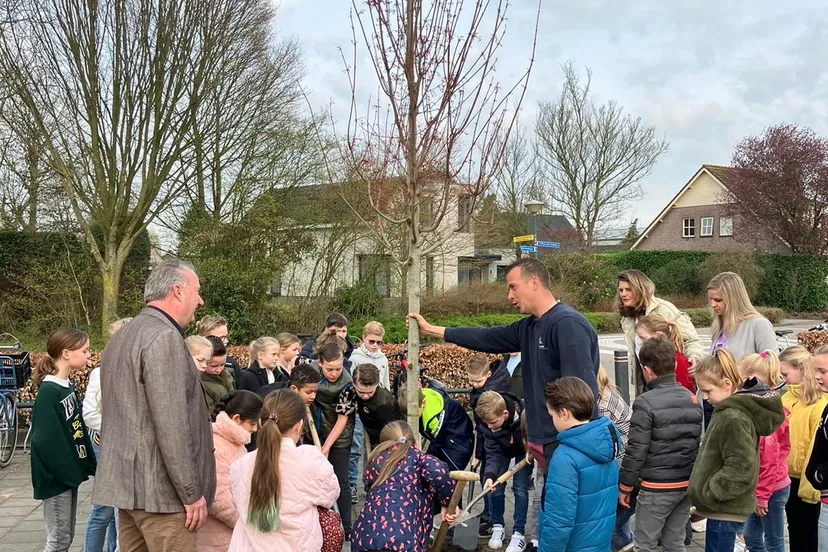 420175981 827526166068194 8207072983460737588 n