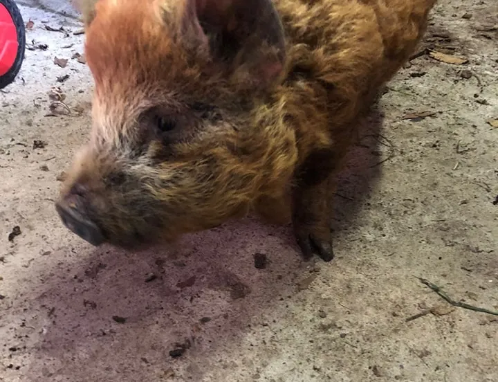 433518115 414209761260020 3031179948770744355 n