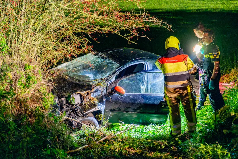 dsc03695 verbeterd nr