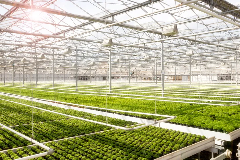 shutterstock 607678391