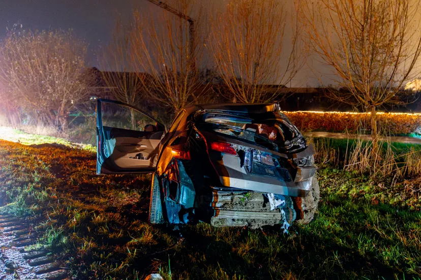 versteeg av producties 3