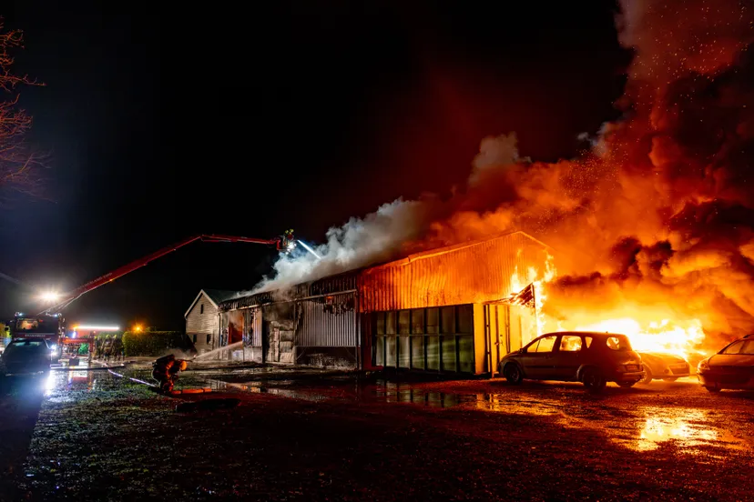 versteeg av producties jv 4