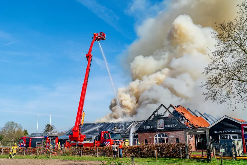 versteeg av producties jv 2