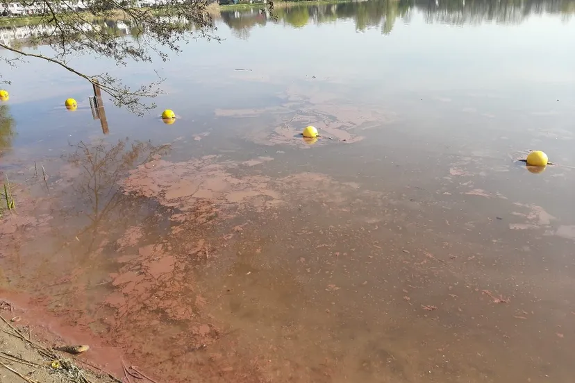 92823306 1517908915049260 377342602422255616 n