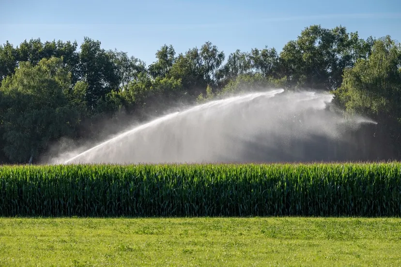 shutterstock 2190969805