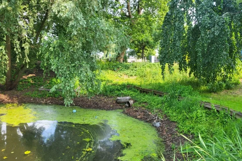 Scherm­afbeelding 2025-08-20 om 16.56.08