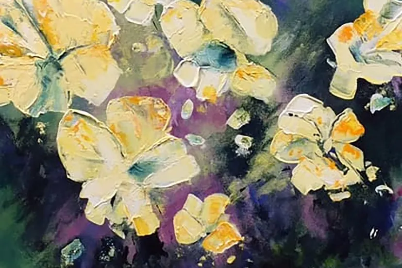 128763861 4953582494659885 8842812307558506070 n