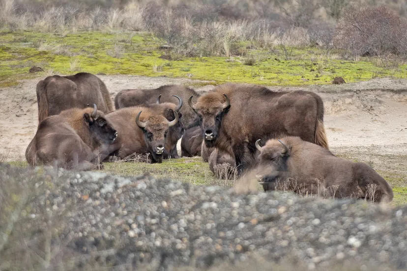 139838071 3563063557126218 4336888699921178560 o