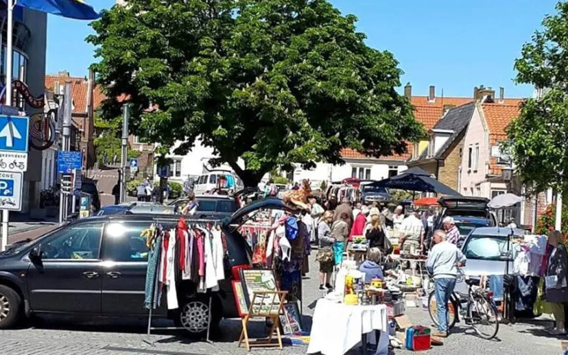 192706503 5804635342887925 7336337433611819785 n 1 915x518 1