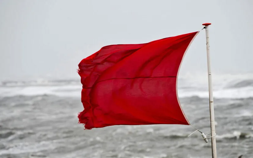 273002951 667928974552457 2715862378291491080 n 915x518 1 915x518 1