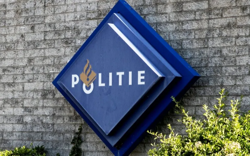 3z1a2154 915x518 1 1