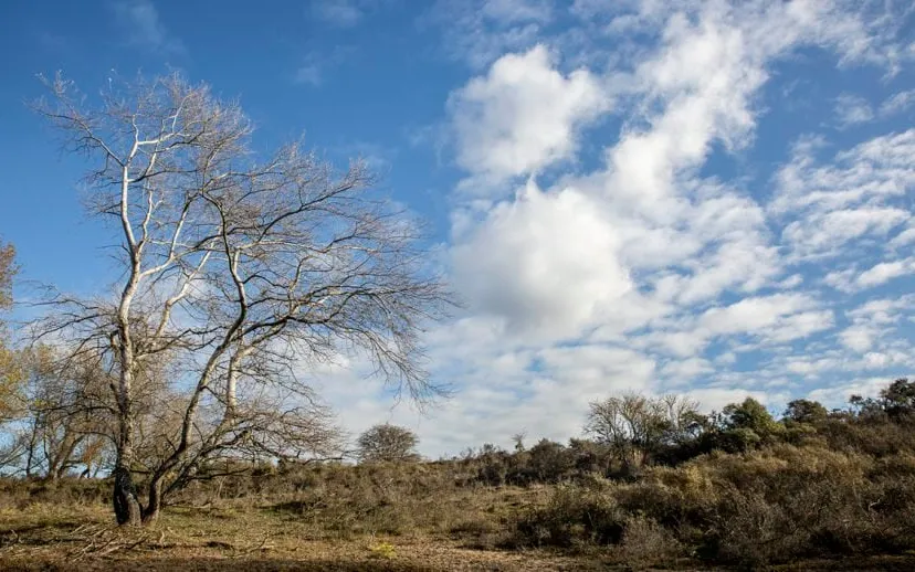 5i5a0167 duinen 915x518