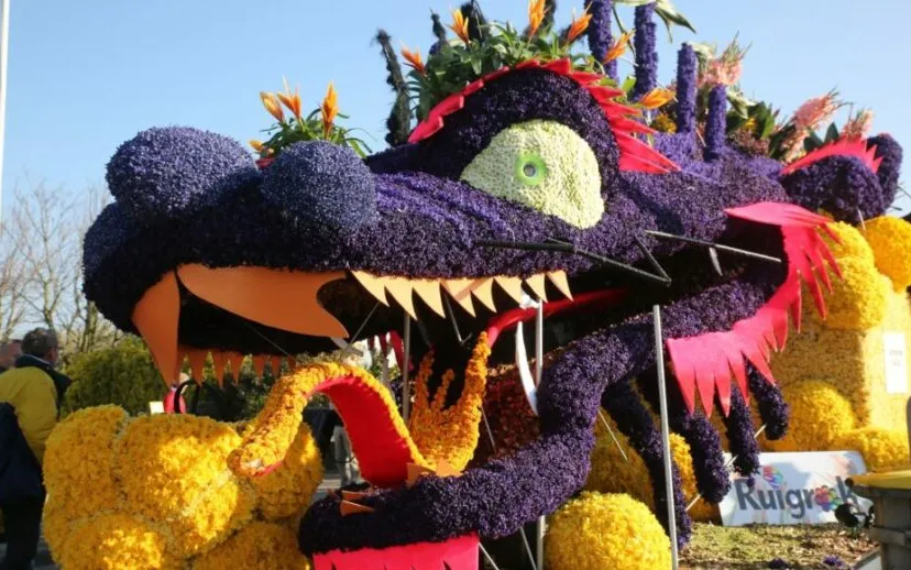 5i5a5629 1024x683 915x518 1