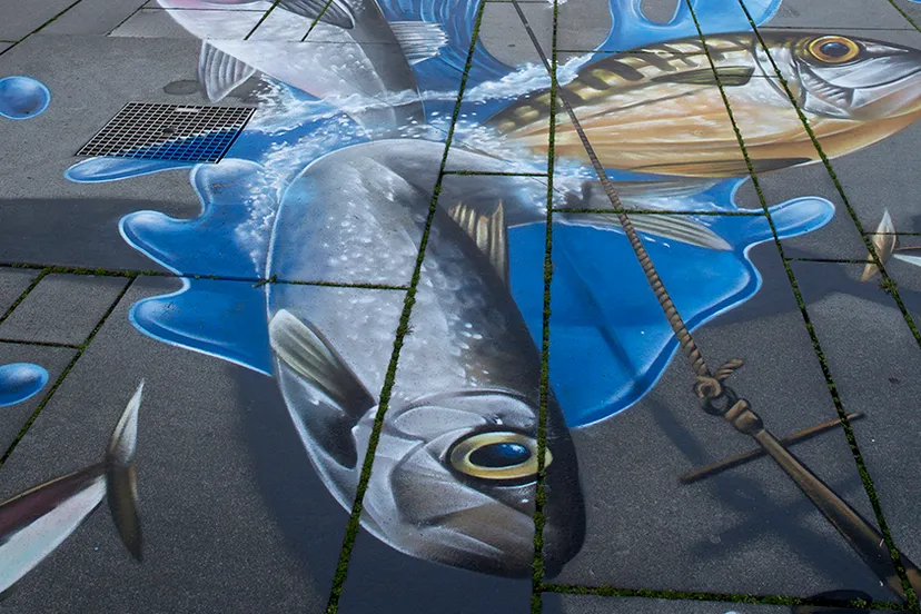 5i5a6731 wim meijer fotografie banner