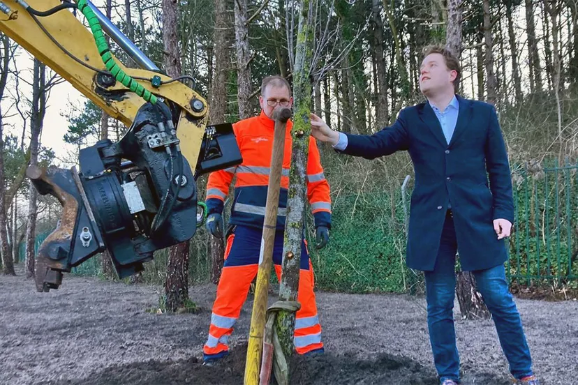 7 iepen verplaatst in zandvoort