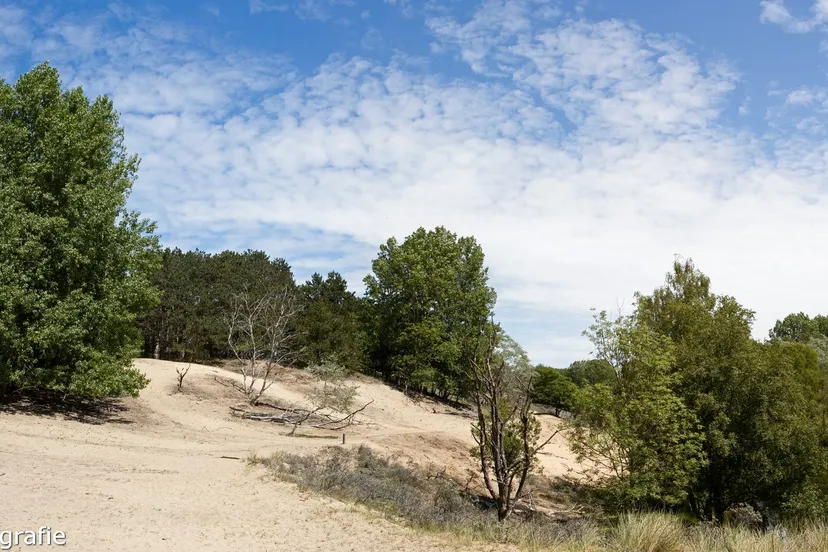 awd panorama2 15 6 2020