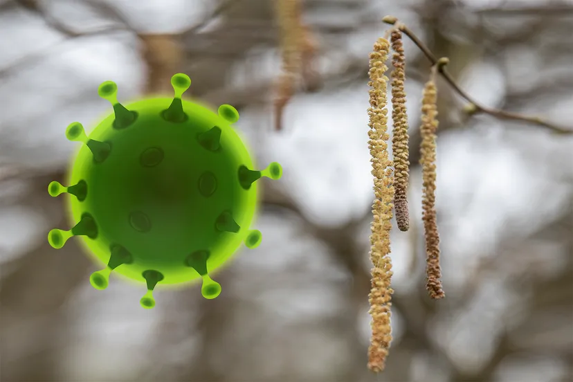 berk corona pixabay wim meijer fotografie