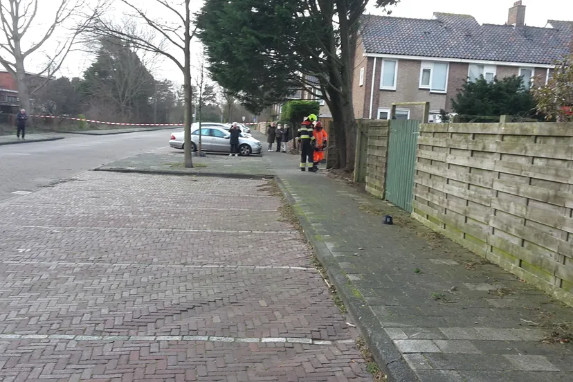 brandweer bij conifeer op de noorderduinweg