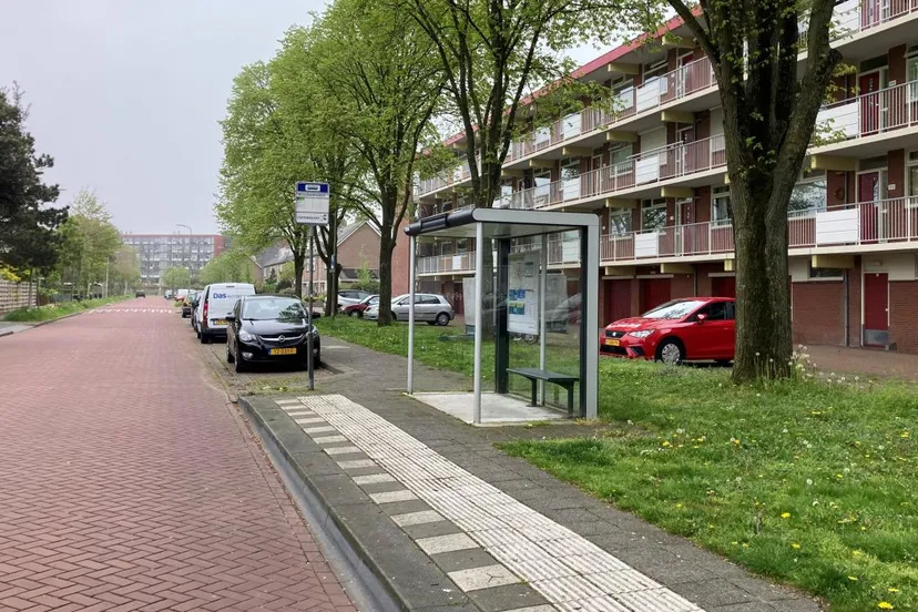 bushaltes in zandvoort 1