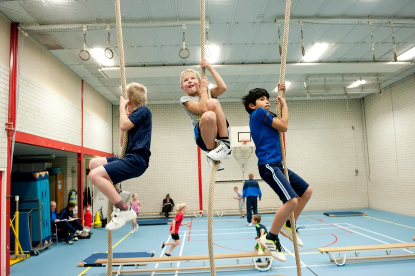 cross over welzijn cios