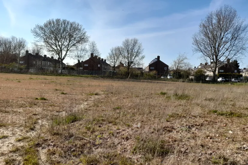 curiedex 3 jaap koper