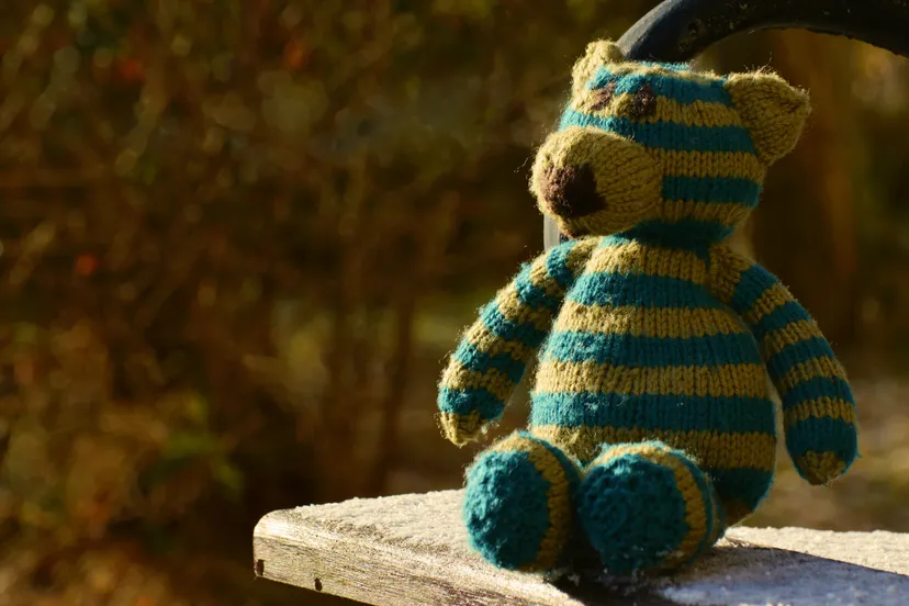 eenzaame speelgoedbeer van wol pxhere