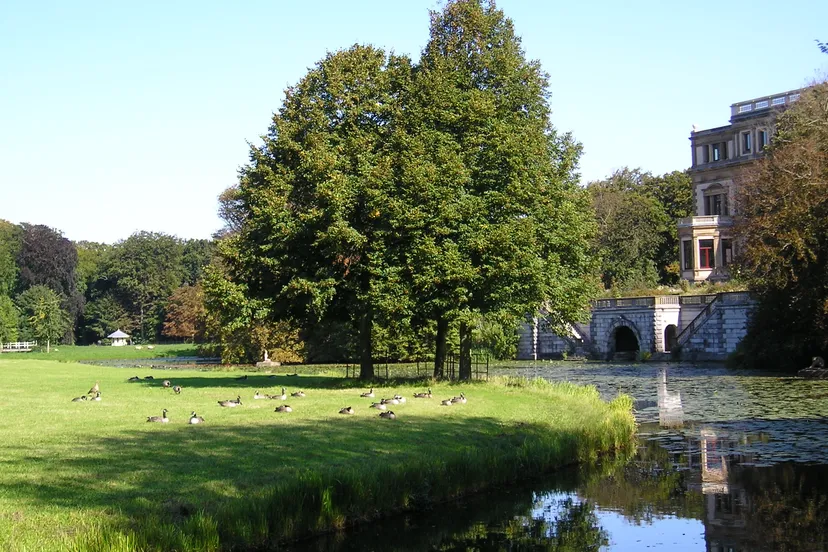 ganzen en grote huis staatsbosbeheer