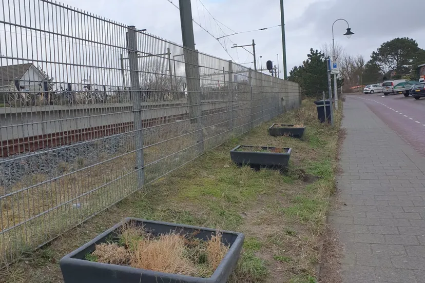 groenstrook haltestraat groen links zandvoort en bentveld aangeleverd 4