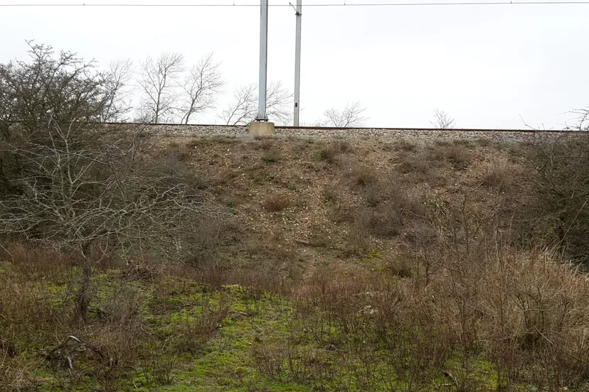 hek pro rail 1 jaap koper