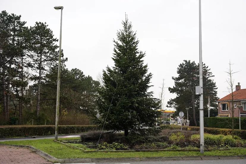 img 20211206 kerstboom zandvoort zandvoortfoto nl