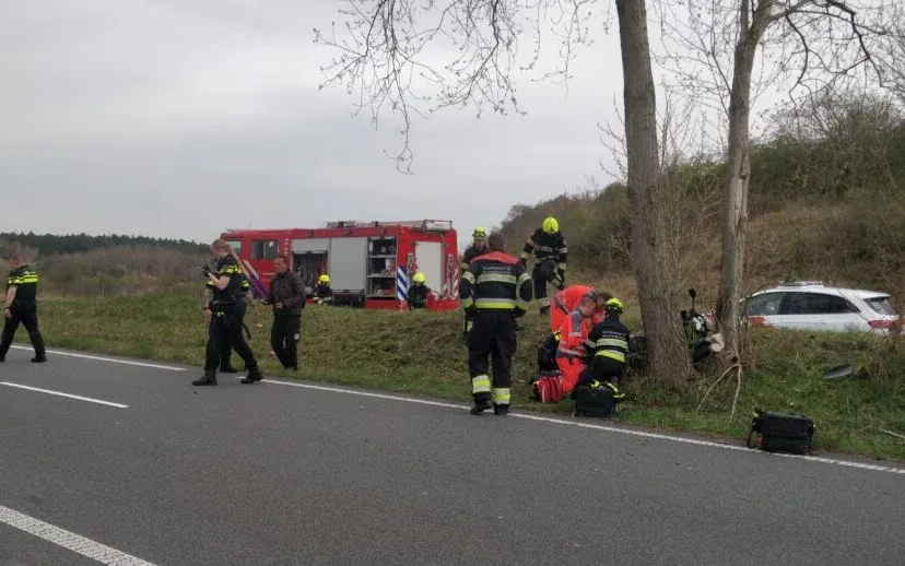 img 20220412 184046 915x518 1