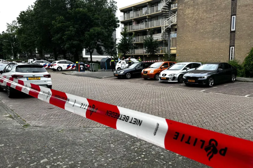 img 20240621 wa0044 1 kopieren