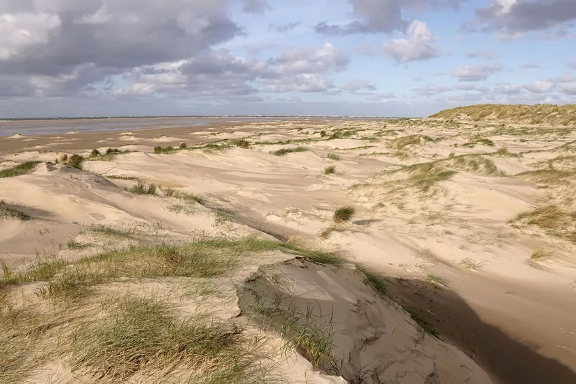 jong duin texel door sytske dijksen foto fitis