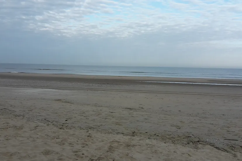 kalme zee jaap koper