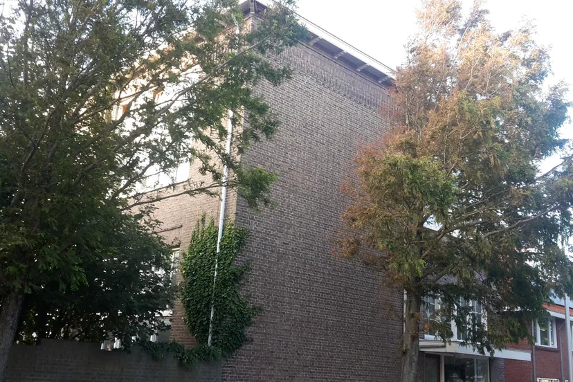 mariaschool 4 jaap koper