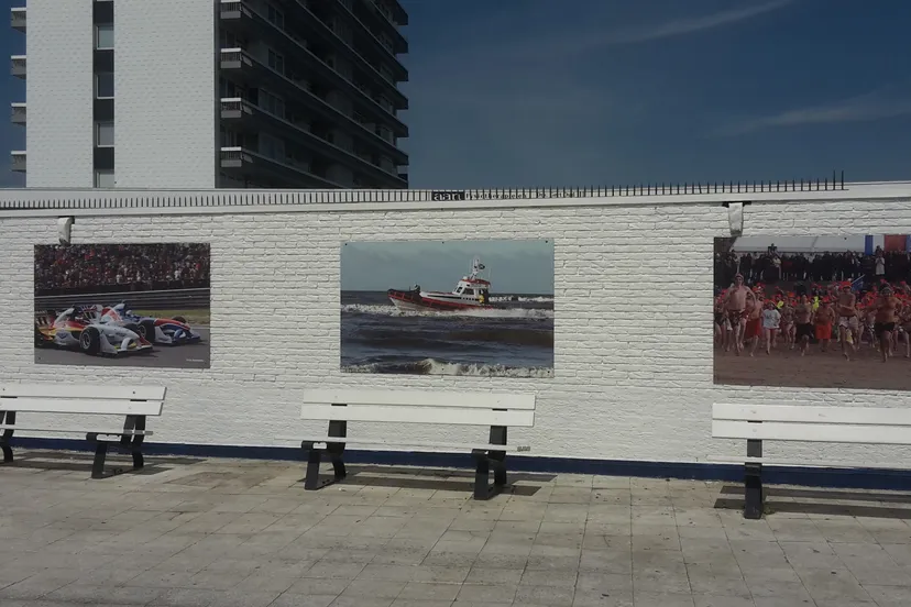 muur dolfirama fotowand