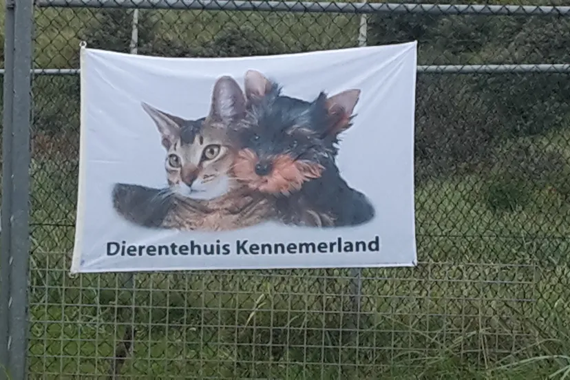 open dag dierentehuis kennemerland 2017 jaap koper