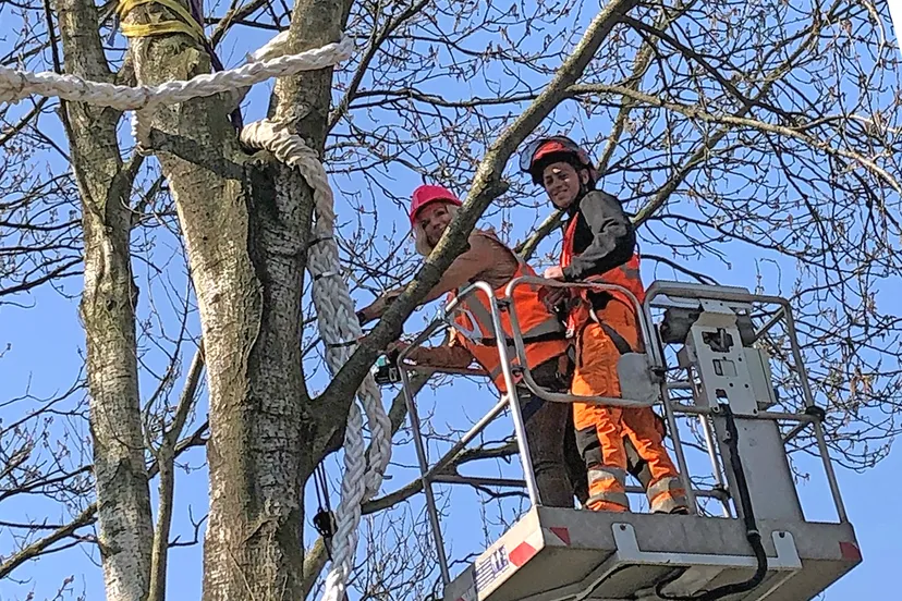 ophangen eekhoornbrug door esther rommel