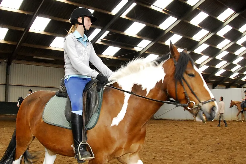 paardrijden pr sportservice heemstede zandvoort bewerkt